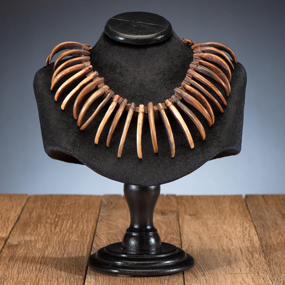 grizzly bear claw necklace