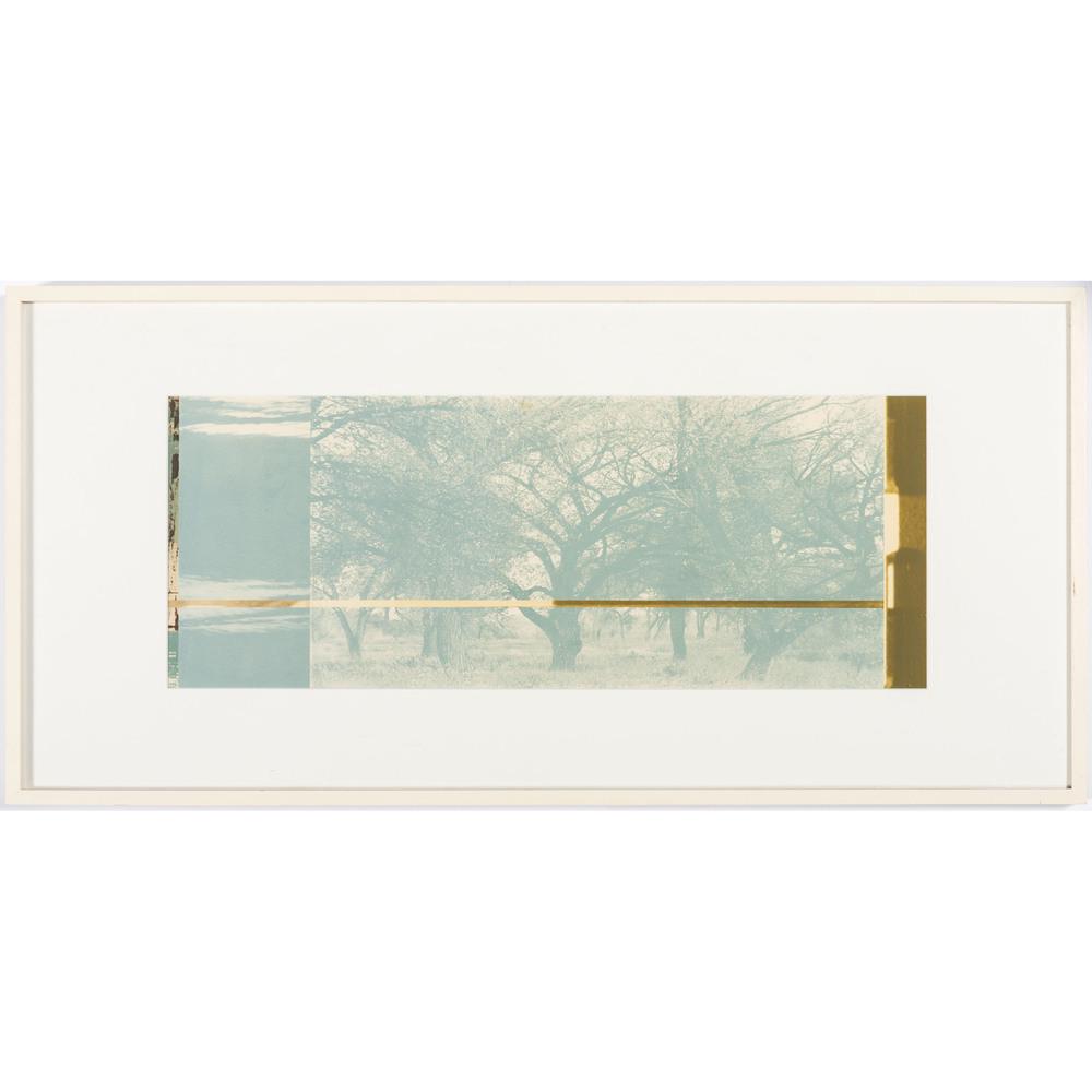 Joan Brooks Baker (American, b. 1944): Joan Brooks Baker (American, b. 1944) Country and Urban Blue photographic solar etching 9 3/4 x 23 1/2 inches (sight). Provenance: From the Robert B. Riley Collection, Illinois