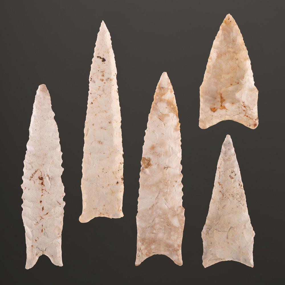 A Group of Dalton Points, Longest 4 in.: A Group of Dalton Points, Longest 4 in. Paleo Indian Period, 13,000-7000 B.C. Montgomery County, Missouri [F75 / F76 / F77] Boone County, Missouri [F79] Saline County, Missouri [A156] rechipped [A156]