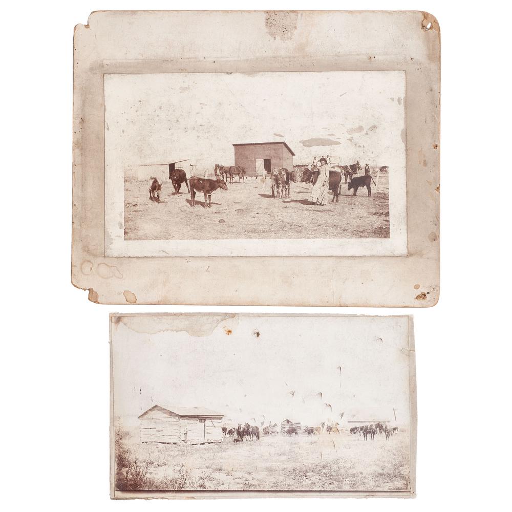African Americans on the Ranch, Oversized Photographs: Lot of 2 boudoir cards by George F. Gibbs of Ferguson, Oklahoma, comprising: Outdoor image of horses and cattle on open plains with a young Black woman leaning on one of the cattle, a mule cart in the