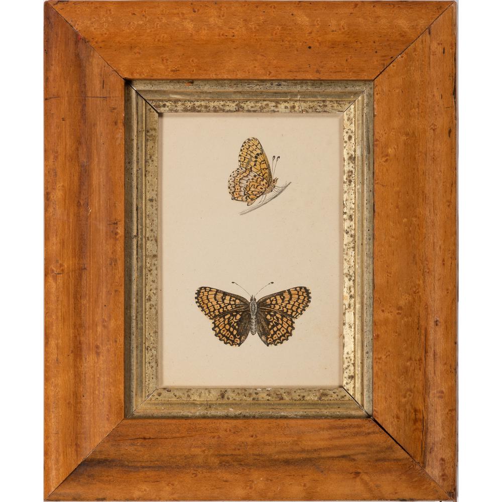 Three Hand-Colored Botanical Engravings: Continental, 19th-20th Century each set in a maple frame. Sight of largest 4 1/2 x 3 inches.