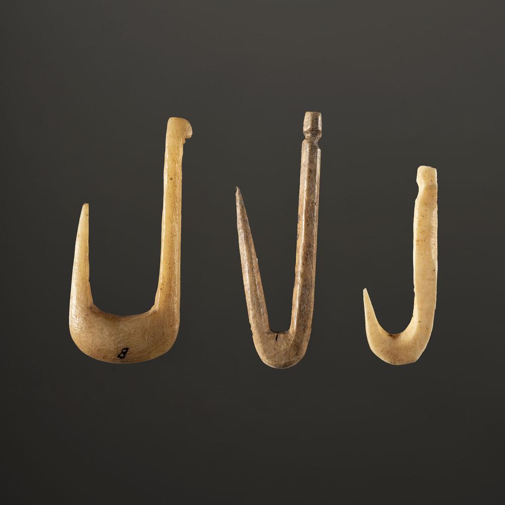 A Group of Three Bone Fish Hooks, Largest 1-1/4 in.: Archaic - Early Woodland Period, 8000-100 B.C. lot of 3, longest 1-1/4 in. Collection History: Gerber Collection Numbers: AG.SB104 & AG.SB123 Published: Gerber, Art, The Art Gerber Story, 2007, pg. 11