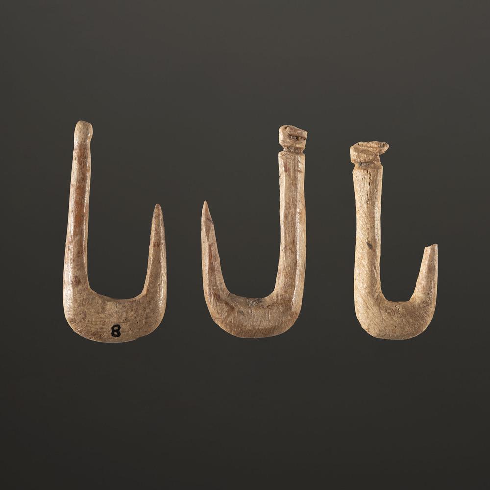 A Group of Three Bone Fish Hooks, Largest 1 in.: Archaic - Early Woodland Period, 8000-100 B.C. lot of 3, longest 1 in. Collection History: Gerber Collection Numbers: AG.SB128, AG.SB106, & AG.SB115
