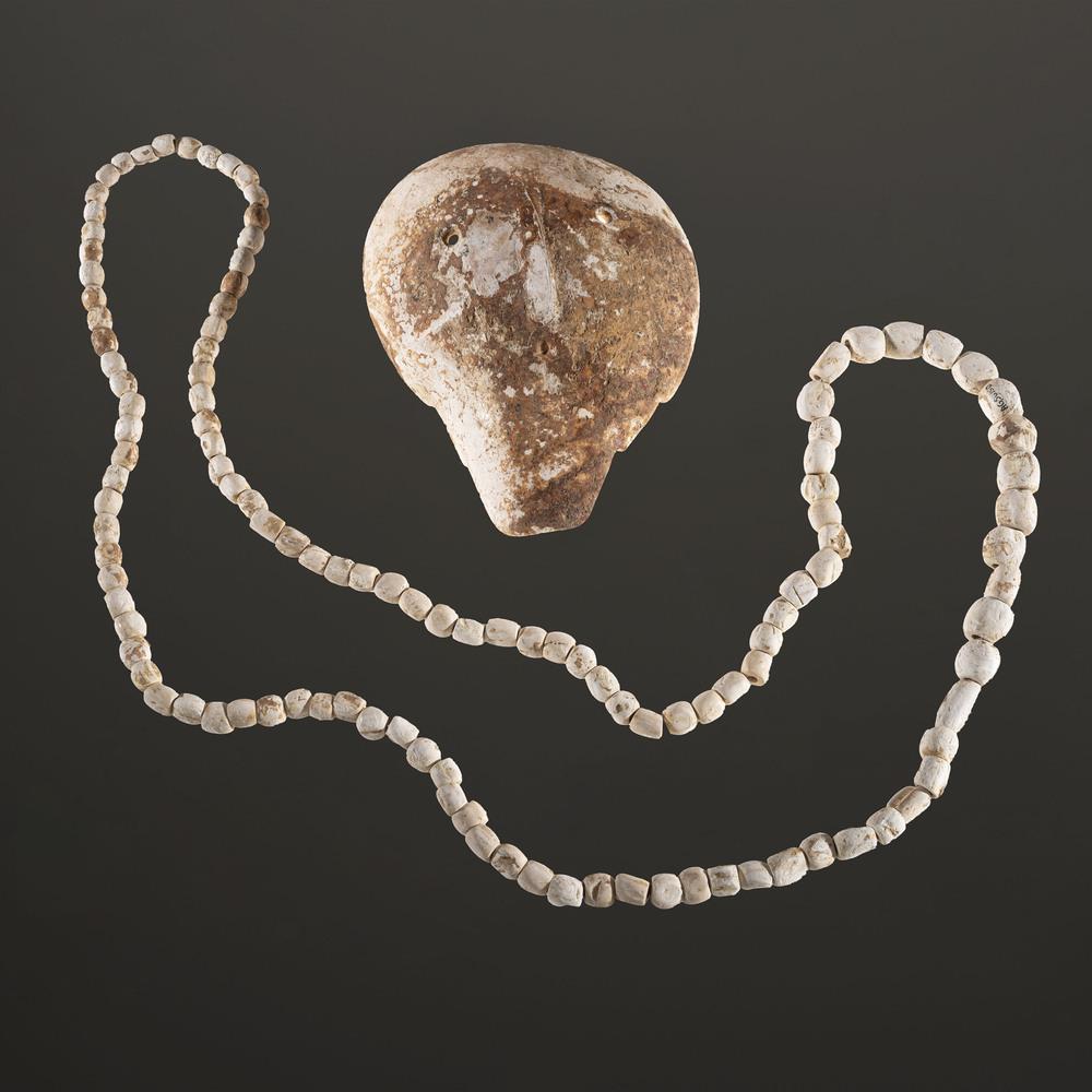 A Mississippian Shell Gorget and Shell Beads, Largest: Mississippian Culture, Late Prehistoric Period, A.D. 1000-1500 Burns Island, Marion County, Tennessee [AG.SB149] lot of 2, longest 4-3/4 in. Collection History: Gerber Collection Numbers: AG.SB149 &