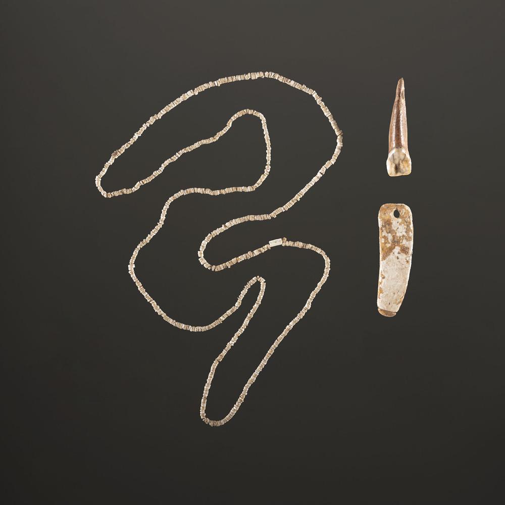 A Group of Strung Shell Beads, Shell Pendant, and Tooth: Archaic - Woodland Period, 8000 B.C. - A.D. 1200 lot of 3, longest 2-1/4 in. Collection History: Gerber Collection Number: AG.SB347 & AG.SB160