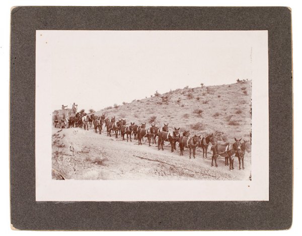 A Fine Photograph of a 20 Mule Team Arizona Ore Fr: A Fine Photograph of a 20 Mule Team Arizona Ore Freighting Wagon, circa 1900-1910, 5 x 7" silver gelatin image mounted on larger grey cardstock, with pencil/ink inscription on verso: Mr. Jean on Swe