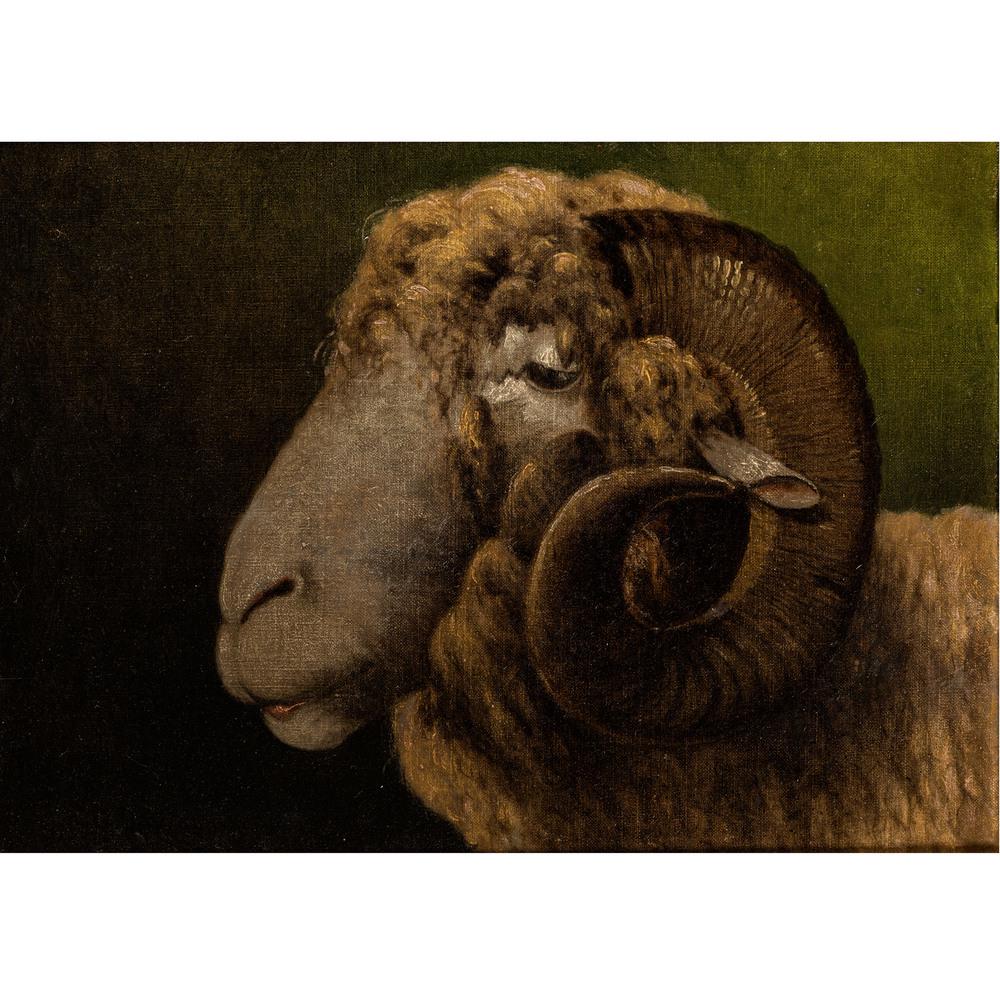 Charles Grant Davidson (American, 1865-1945): Charles Grant Davidson (American, 1865-1945) Portrait of a Sheep oil on canvas signed CG Davidson (lower left) 10 3/8 x 14 1/2 inches. Property from the Estate of James A. Sanders, Evansville, Indiana
