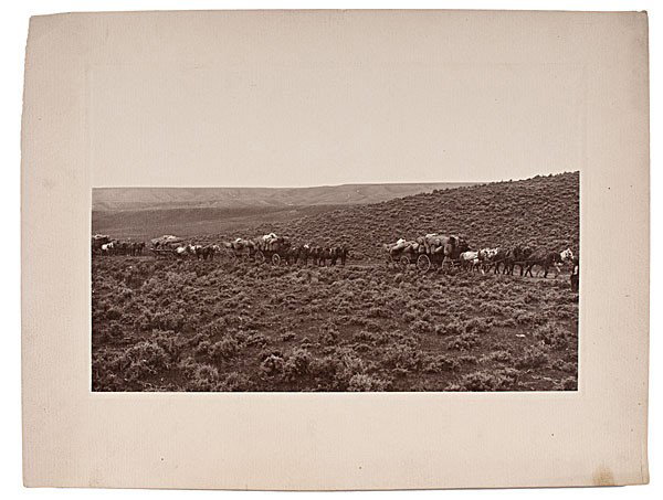 Charles J. Belden Photograph of Horse-Drawn Wagons: Charles J. Belden Photograph of Horse-Drawn Wagons Transporting Supplies Silver gelatin photograph with backstamp Photo Copyright by Charles J. Belden Z/T Ranch Pitchfork, Wyoming, and penciled No.