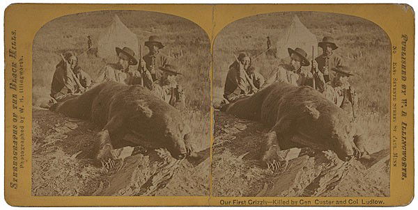W.H. Illingworth Stereoview of Custer with Grizzly: W.H. Illingworth Stereoview of Custer with Grizzly Bear Stereoview on regular sized yellow mount, taken during Custer's Expedition to the Black Hills in 1873 (K-127). The discovery of gold on the ex