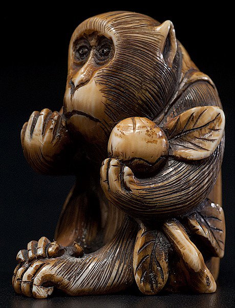 Edo Period Ivory Monkey Netsuke, Signed : Edo Period Ivory Monkey Netsuke, Signed Japanese, an Edo period ivory netsuke of a seated monkey, wearing a vest and holding a plum, signed; ht. 1.5 in.