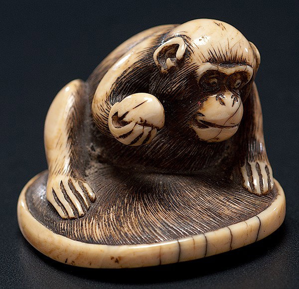 Edo Period Ivory Katabori Netsuke, Unsigned : Edo Period Ivory Katabori Netsuke, Unsigned Japanese, an Edo period ivory Katabori netsuke featuring a seated monkey holding a coconut, unsigned; ht. 1 in.