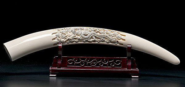 Chinese Carved Ivory Tusk : Chinese Carved Ivory Tusk Chinese, 20th century, an ivory tusk with inked dragon carved in relief, with inset seal, signed on bottom; lg. 24 in.
