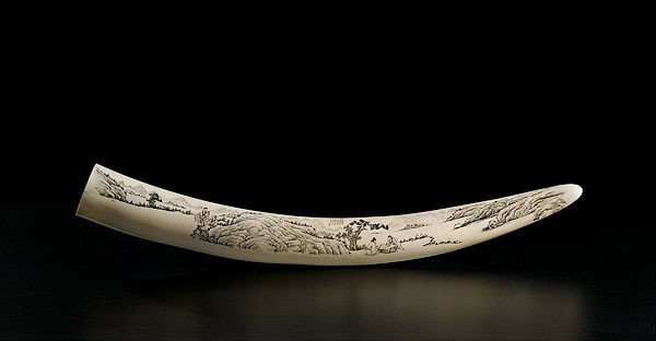 Chinese Ivory Scenic Tusk : Chinese Ivory Scenic Tusk Chinese, a scrimshawed ivory tusk with expansive inked scenes on either side, with Mandarin writing; lg. 24 in.