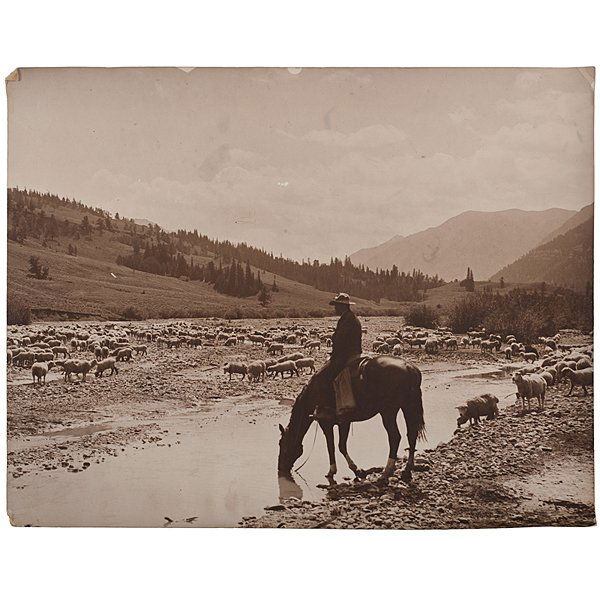 Charles J. Belden Photo of a Cowboy Tending Sheep: Charles J. Belden Photograph of a Cowboy on Horseback, Tending Sheep Silver gelatin photograph, unmarked, but by Charles Belden, of a cowboy watering his horse while tending sheep near a small strea