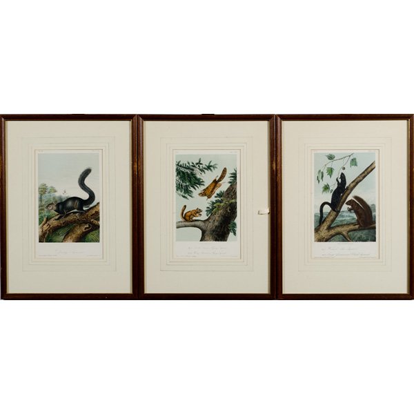 5 Later Audubon Prints, Plus 1 Owl Print by J.T. B: 5 Later Audubon Prints, Plus 1 Owl Print by J.T. Bowen Colored Lithographs, five dated 1854 depicting squirrels. One dated 1856, depicting an owl. Plate 7.25 x 4.75 in.