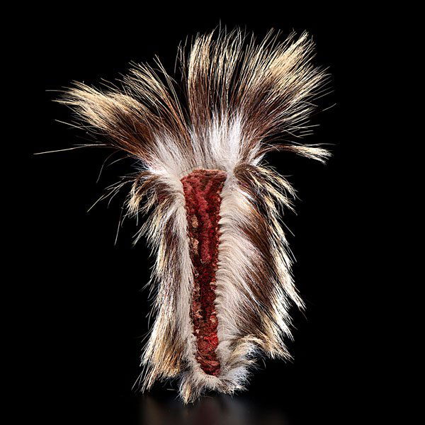 Northern Plains Hair Roach : composed of porcupine guard hairs with center filled with dyed deer fur, total length 14 in. ca 1900