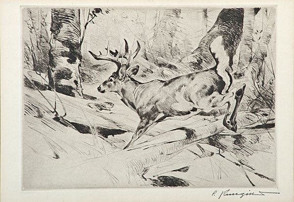White Flag by Carl Rungius : White Flag by Carl Rungius Carl Rungius (American, 1869-1959), 20th century. Etching on paper, signed in graphite l.r.; plate size 8 x 10.75 in.