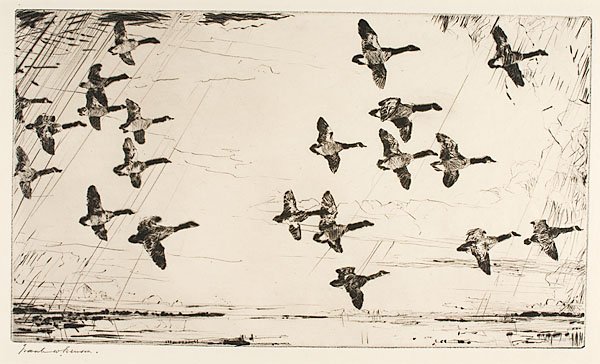 Over Currituck Marshes by Frank Weston Benson : Over Currituck Marshes by Frank Weston Benson Frank Weston Benson (American, 1862-1951), 1926. Drypoint on paper from an edition of 150, signed in graphite l.l., catalogue raisonné Paff 259; 7 x 