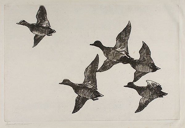 Flying Widgeon by Frank Weston Benson : Flying Widgeon by Frank Weston Benson Frank Weston Benson (American, 1862-1951), 1924. Etching on paper from an edition of 150, signed in graphite l.l., catalogue raisonné Paff 231; 9.75 x 15 in. 