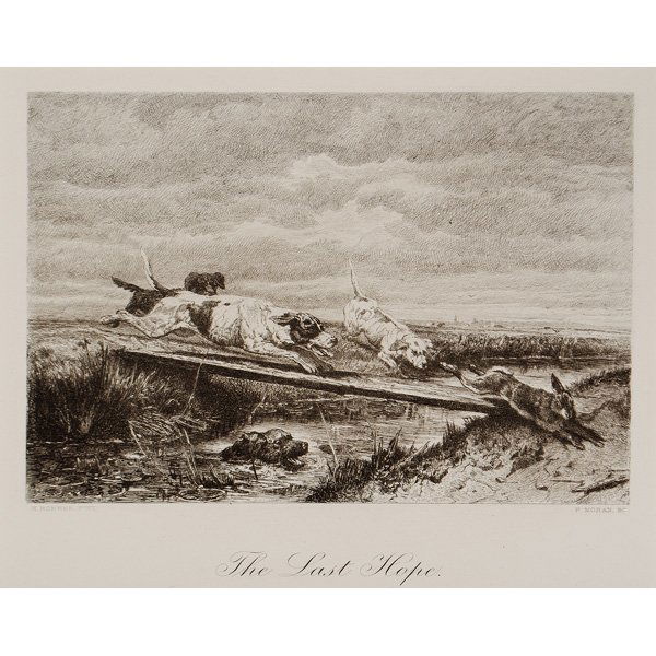 The Last Hope by Peter Moran, After Ronner : The Last Hope by Peter Moran, After Ronner Peter Moran (American, 1841-1914) After the painting by Henriette Ronner (Dutch, 1812-1909). Late 19th Century, etching on paper, titled The Last Hope.,
