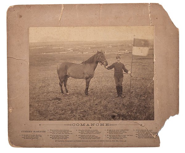 Comanche, the Only Survivor of the Custer Massacre: Comanche, the Only Survivor of the Custer Massacre, Imperial Photograph Imperial-sized albumen photograph of Comanche at Fort Meade, Dakota Territory, the only survivor of the Custer Massacre, with 