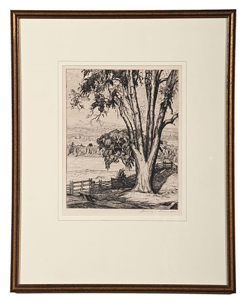 Big Elm Etching by Luigi Lucioni : Luigi Lucioni (American, 1900-1988). Etching on paper, signed l.l. and with original AAA label on verso, edition of 250; 9.75 x 7.75 in. (plate size).
