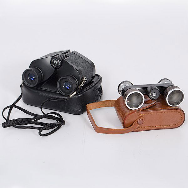 Opera Glasses, and Pocket Racing Binoculars : Gentleman's opera glasses with reptile covering and leather case, plus a pair of Bushnell Sportview Compact Binoculars (7 x 21) in simulated leather case.