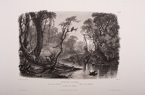 Cutoff-River, Branch of the Wabash, Indiana Etching by: Cutoff-River, Branch of the Wabash, Indiana Etching by Karl Bodmer Karl Bodmer (Austrian, 1809-1893). Monochrome etching on paper, titled and with additional information in margin, with Bodmer's b