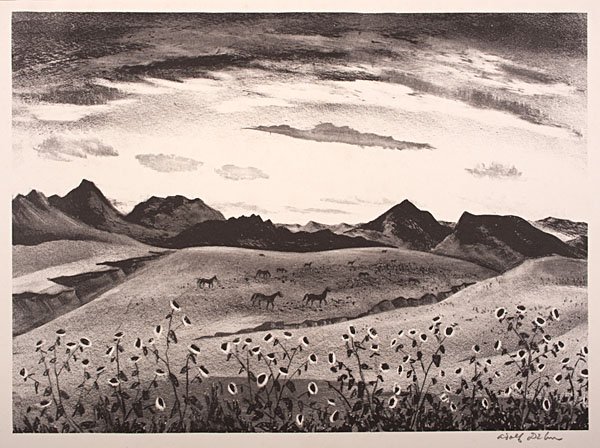 Colorado Sunflowers by Adolph Dehn : Colorado Sunflowers by Adolph Dehn Adolph Dehn (American, 1895-1968). Lithograph on paper, signed l.r. and with original Associated American Artists label; 10 x 13.75 in. (sight).