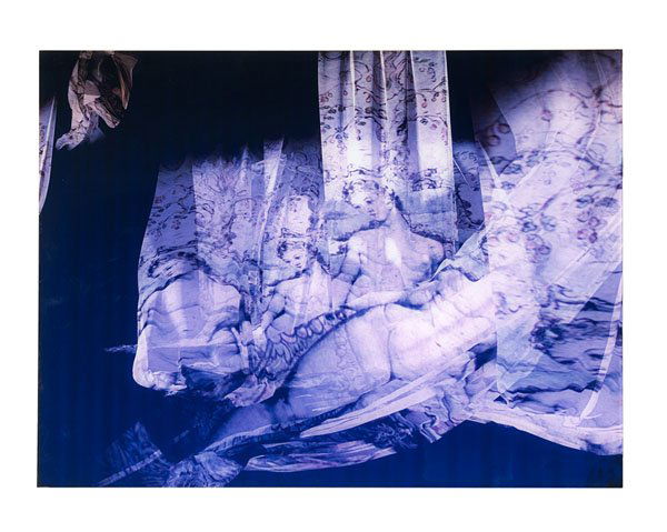 Paradise Lost: Eve's Flowers, by Jame's McGrath : Paradise Lost: Eve's Flowers, by Jame's McGrath James McGrath (Australian, b. 1969). Archival Lambda print face mounted to plexiglass, titled Paradise Lost: Eve's Flowers. Signed and dated 2004 l.r.