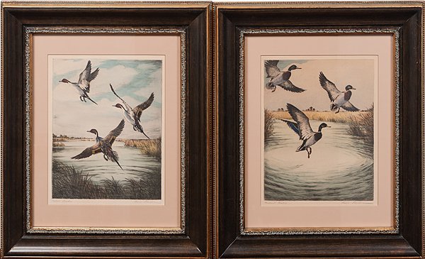 Pair of Colored Etching of Drakes by Hans Kleiber : Pair of Colored Etching of Drakes by Hans Kleiber Hans Kleiber (American, 1887-1967). A pair of hand colored etching, titled Mallard Drakes and Pintail Drakes, respectively. Each signed in margi