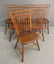 Windsor chairs