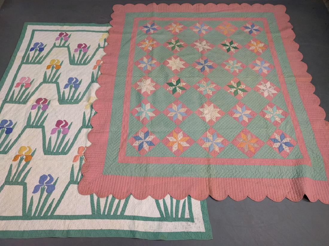Applique quilt (1 of 3)