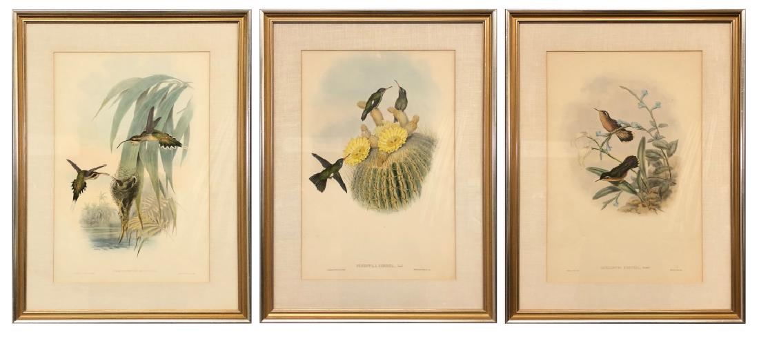Three Bird Lithographs (1 of 13)