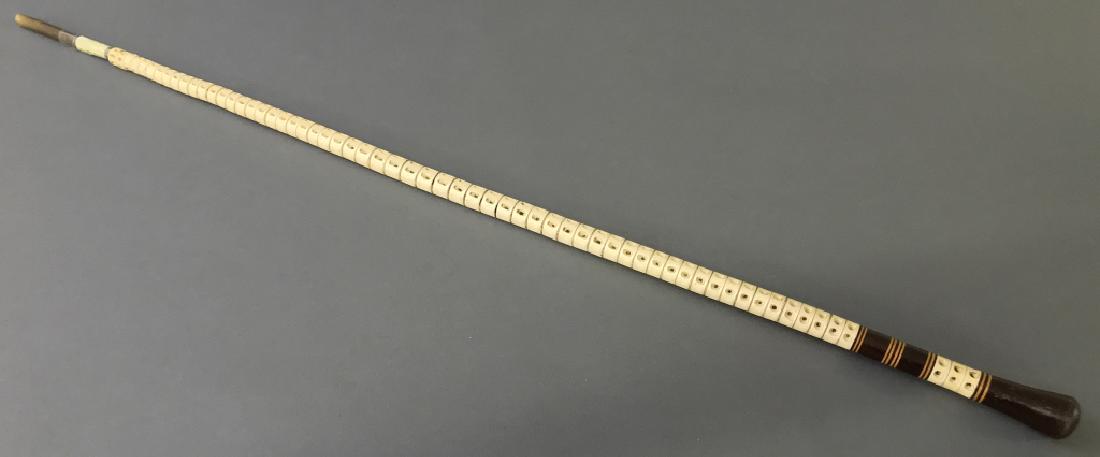 Nantucket Shark Vertebrae Walking Stick (1 of 2)