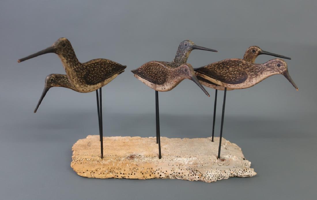 Six Cape Cod Shorebirds Mounted on Driftwood (1 of 1)