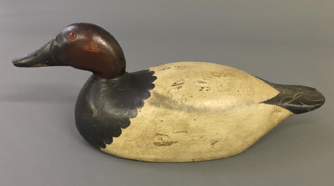 Mason Canvasback Decoy