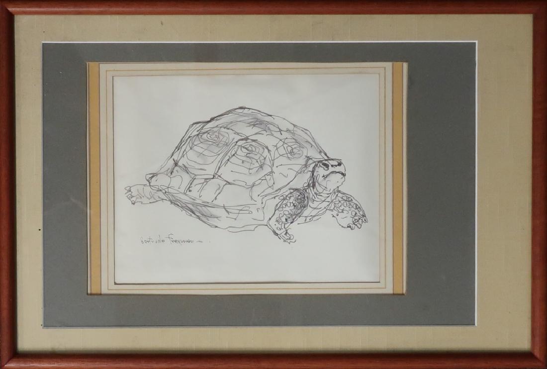 Gertrude H. Freyman Pencil Sketch of a Box Turtle: Gertrude Henrietta Freyman (American 1901 - 1994) framed and matted pencil sketch of a box turtle, signed lower left, sight 7"h x 9"w