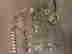 item-81658161=3