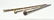 Walking Stick Grouping - 2