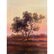 Luminescent Sunset Oil on Board - 5