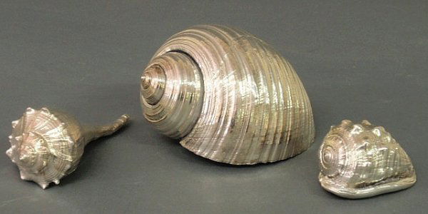 Three silver clad seashells signed "Mario Buccella: Three silver clad seashells signed "Mario Buccellati", largest 4.5"x7