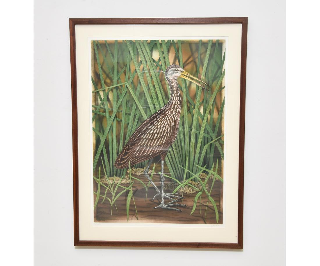 JOHN COSTIN ETCHING "LIMPKIN" (1 of 5)