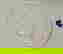 item-8155845=2