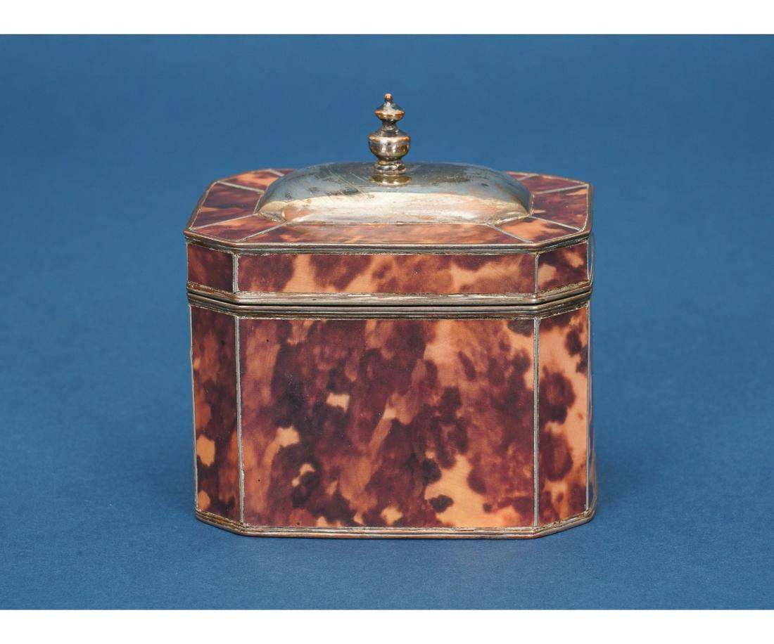 SILVER PLATE AND TORTOISE COLOR TEA CADDY (1 of 7)