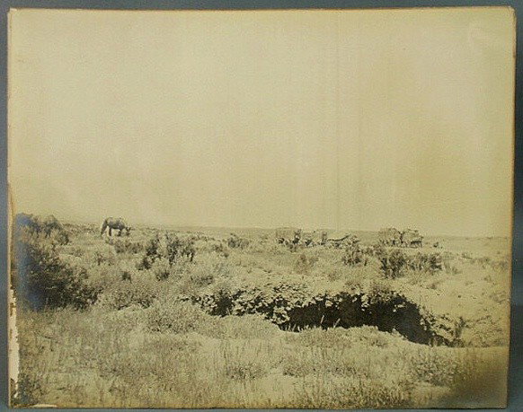 Curtis, Edward Sheriff [American, 1868-1952] photo: Curtis, Edward Sheriff [American, 1868-1952] photograph of horses and stagecoaches, photograph laid down on heavy paper. 13.5"x16.75