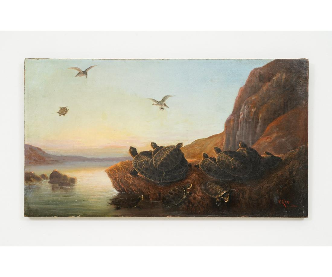 TAMEYA KAGI OIL ON CANVAS TURTLES: Tameya Kagi (b 1851, Japanese-American) unframed oil on canvas of turtles being hunted by birds, dated 1884. 20" x 36"
