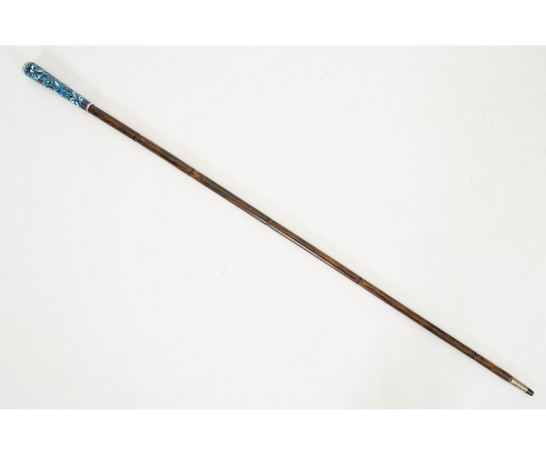 RUSSIAN WALKING STICK (1 of 4)