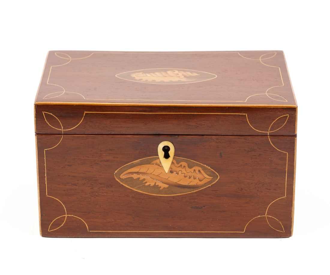 GEORGIAN MAHOGANY TEA CADDY (1 of 9)