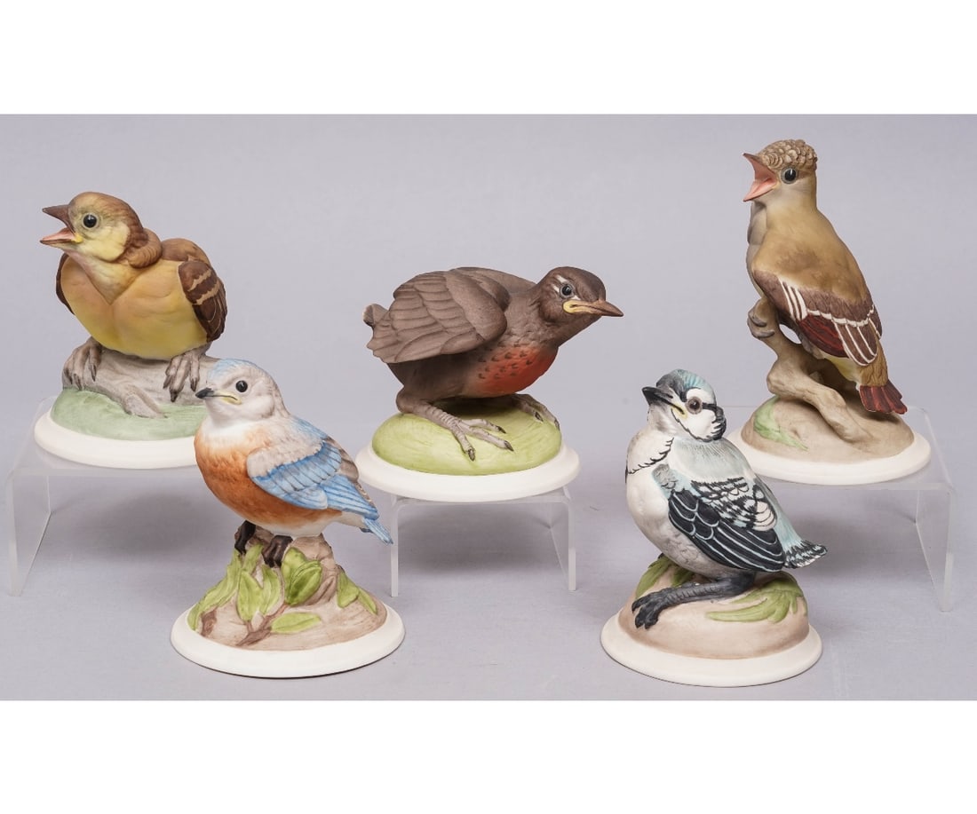 BOEHM BIRDS (1 of 8)